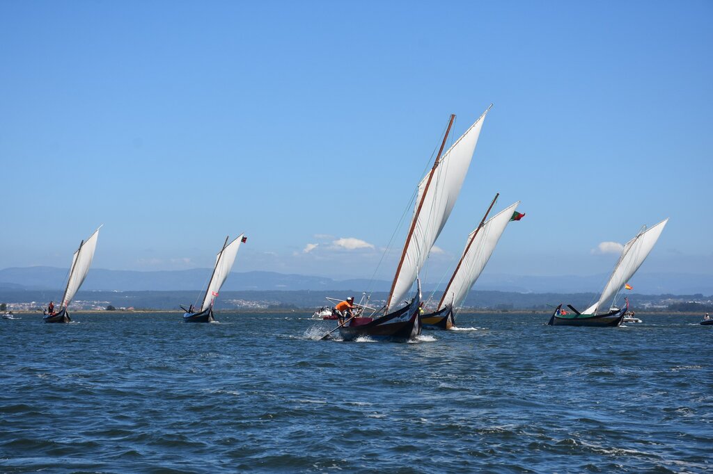 116879066_3119037624841225_3099563989426972205_o