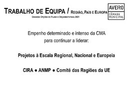 Trabalho de Equipa / Região, País e Europa