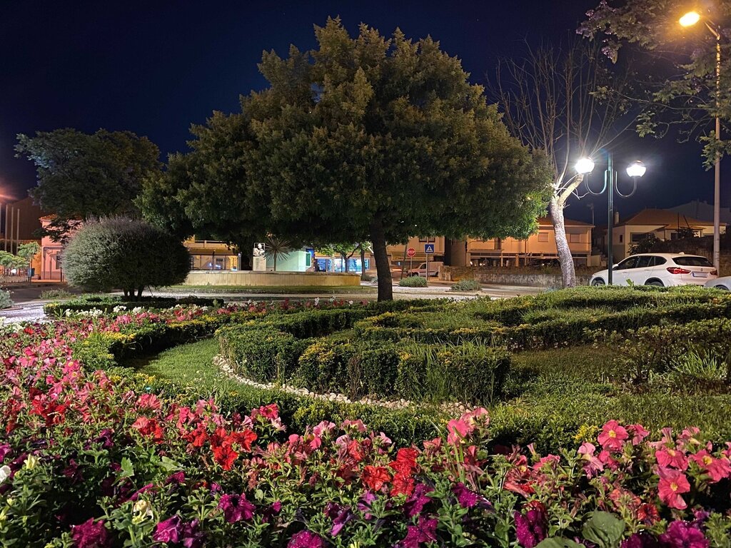 204711721_4935528423131204_3310380376116169668_n