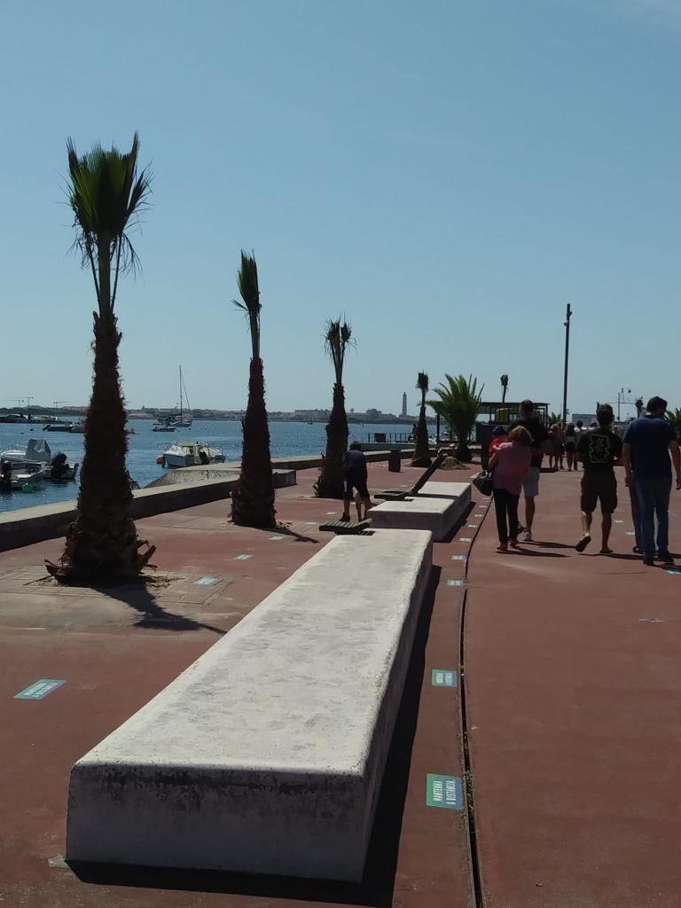 novas_palmeiras_sao_jacinto_1