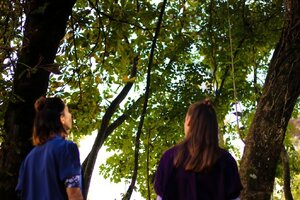 ca_dentro___la_fora__espetaculo_