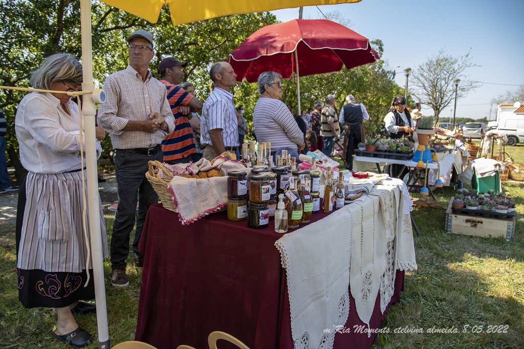 IMG_9329-8-05-2022-MercTradMurtosa-etelvina-web