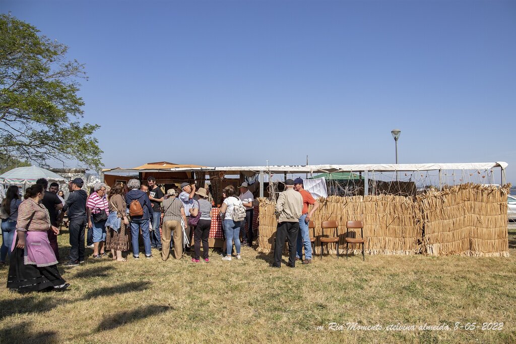 IMG_9332-8-05-2022-MercTrad-murtosa.Etelvina-web