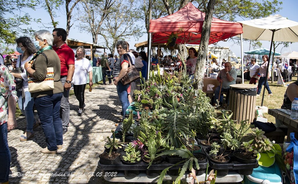 IMG_9127-8-05-2022-MercTradMurtosa-Etelvina-web