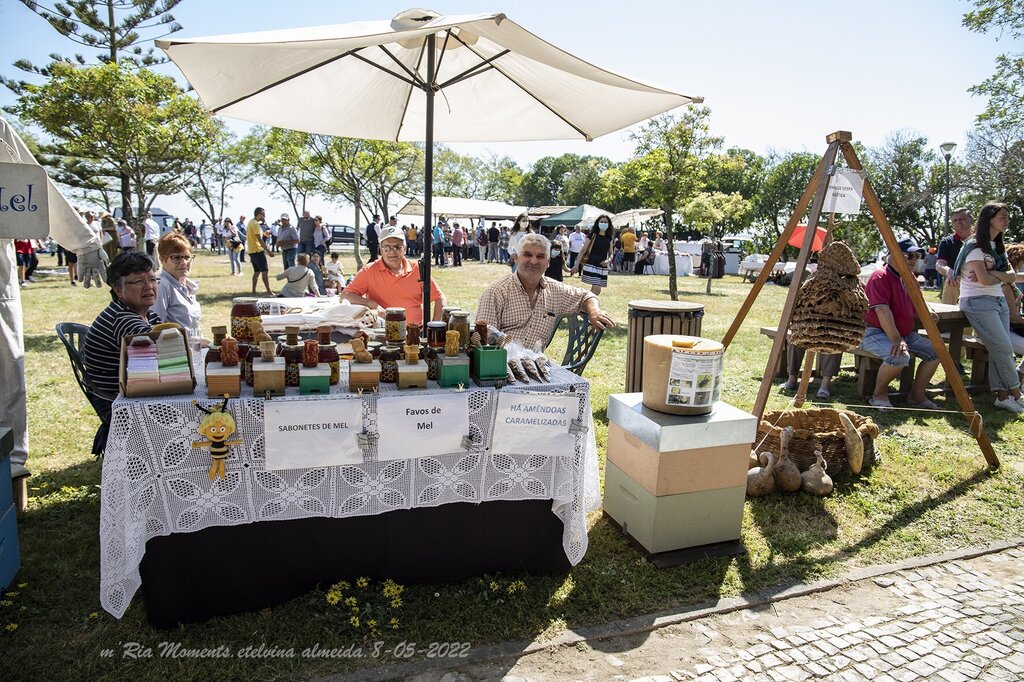 IMG_9124-8-05-2022-MercTrad-Murtosa-Etelvina-web