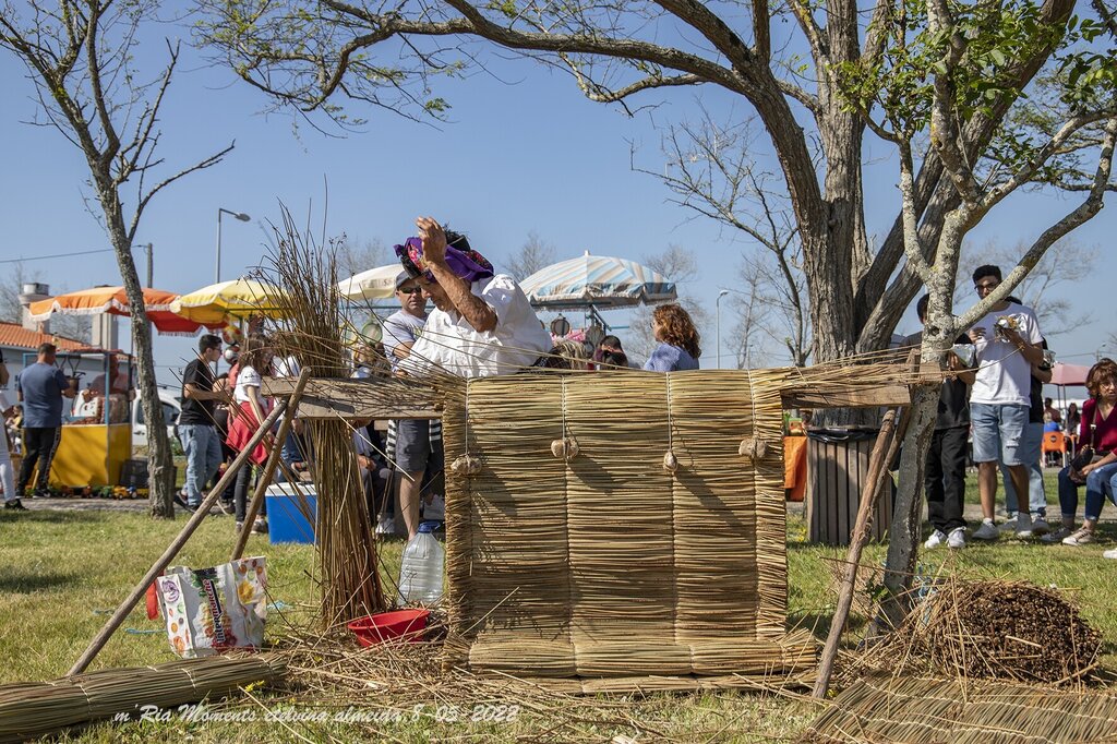 IMG_9367-8-05-2022-MercTradMurtosa-etelvina-web