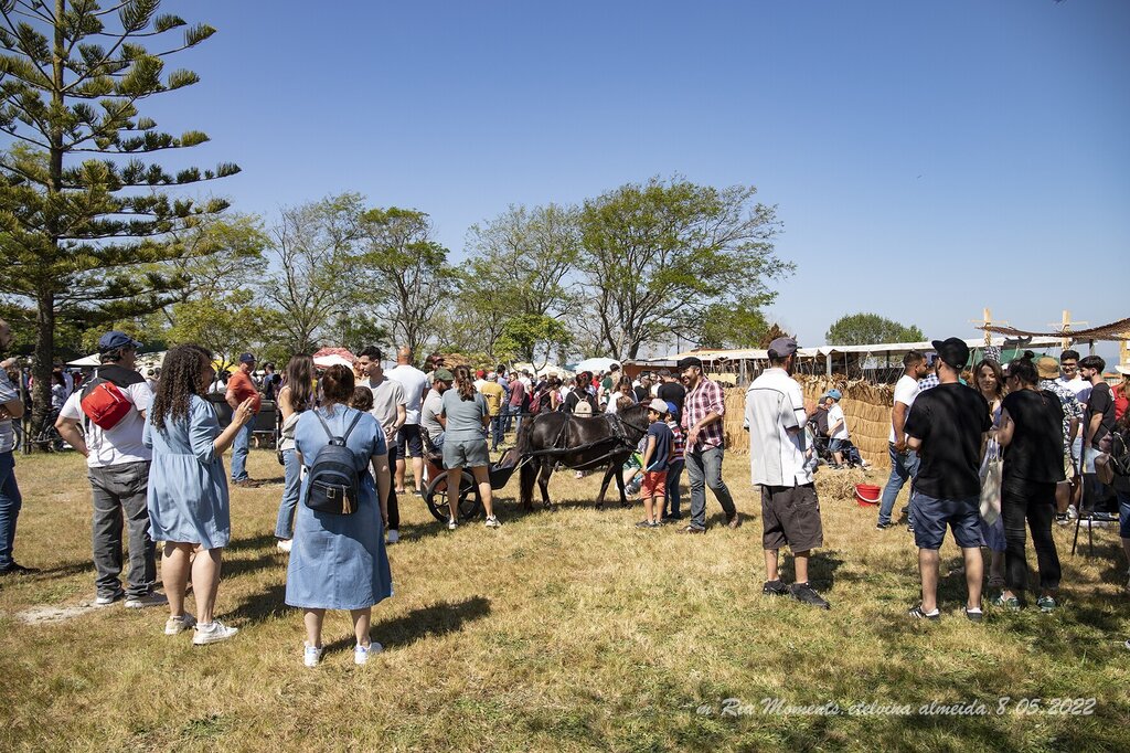 IMG_9106-8-05-2022-MercTrad-Murtosa-Etelvina-web