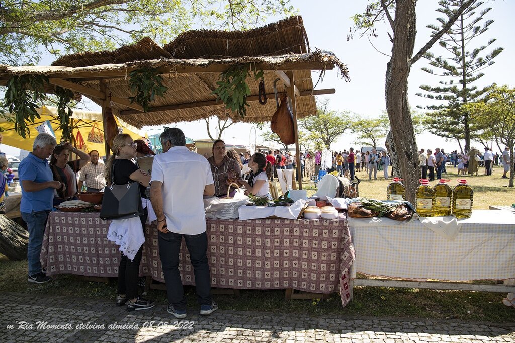 IMG_9130-8-05-2022-MercTrad_murtosa-etelvina-web