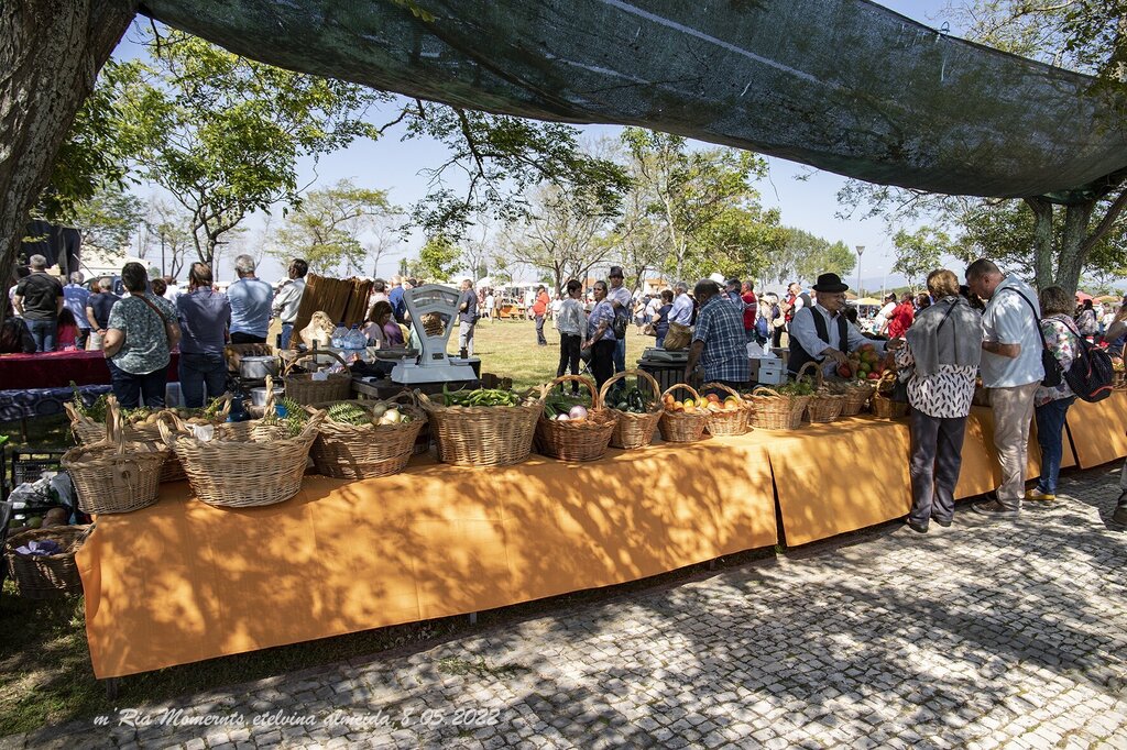 IMG_9120-8-05-2022-MercTradMurtosa-Etelvina-web