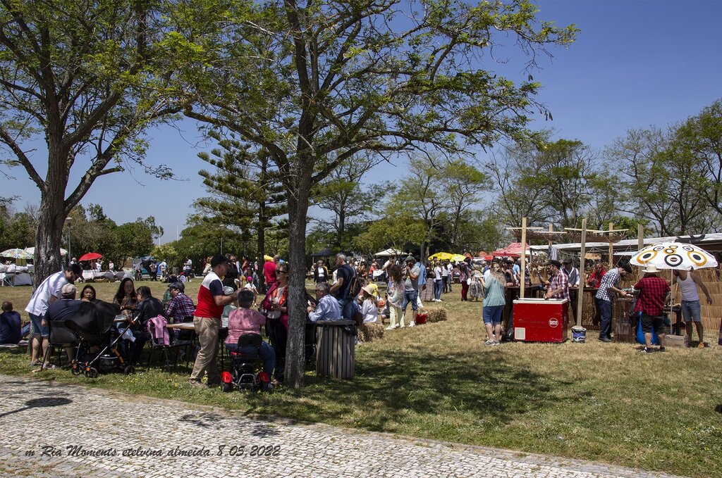 IMG_7615-8-05-2022-MercaTrad-Murtosa-Etelvina-web (002)