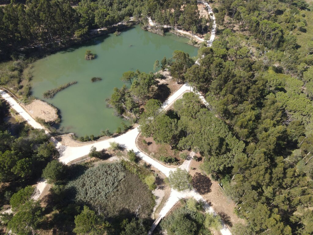 parque_dos_pinheiros_mansos