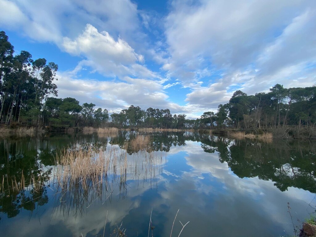 lago_do_parque_dos_pinheiros_mansos