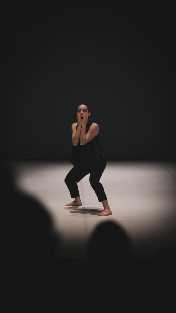 avalanche_credpedromostardinha__1_