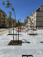 gloria_vera_cruz_13mai23_02