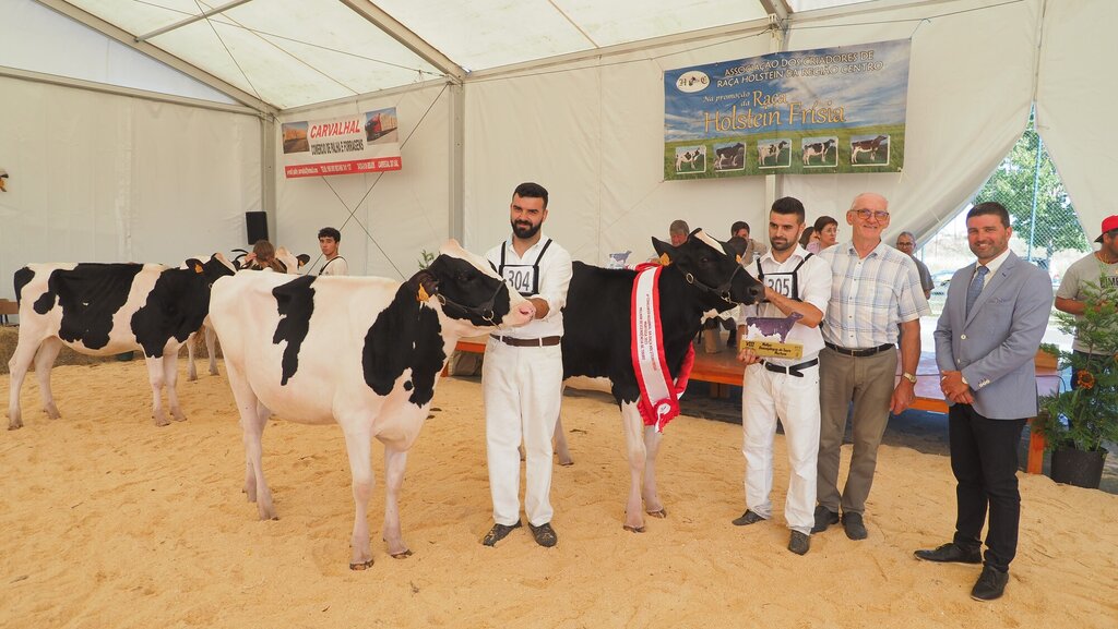 Holstein_101