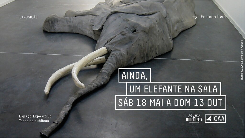 Ainda, um elefante na sala