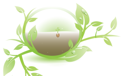 Workshop de Compostagem [Org.: Câmara Municipal de Águeda]