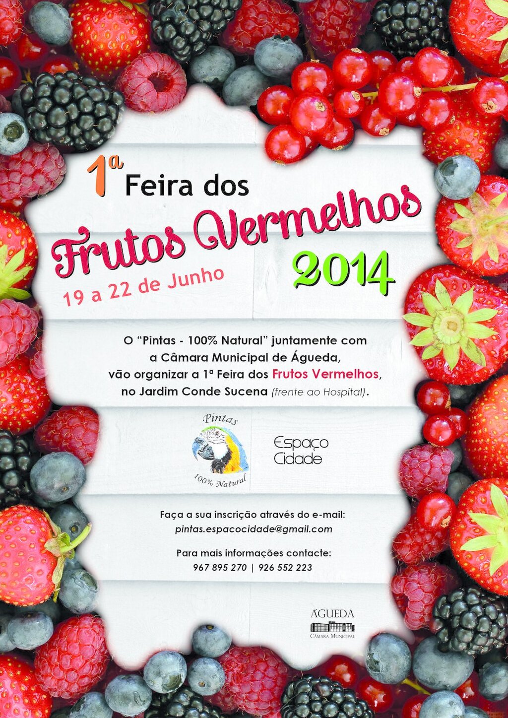 FEIRA DOS FRUTOS VERMELHOS [Org.: Espaço Cidade/CMA]