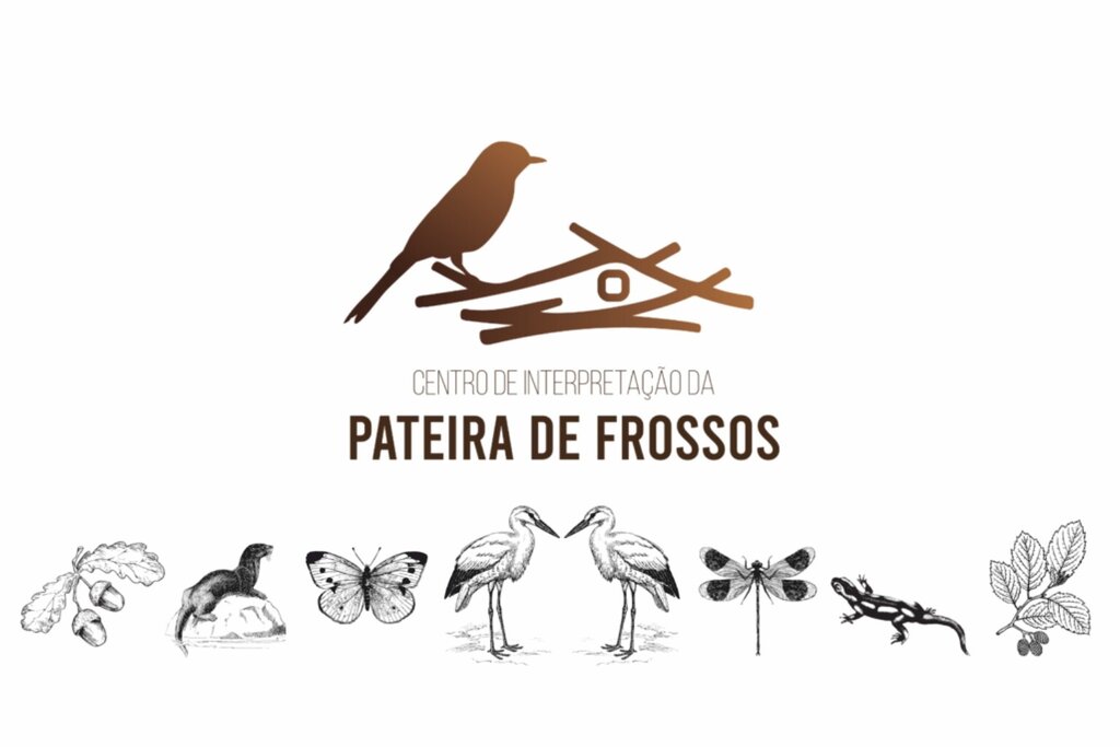 Sementeira de Arroz na Pateira de Frossos - Atividade dinamizada por Paulo Nunes, com colaboração...