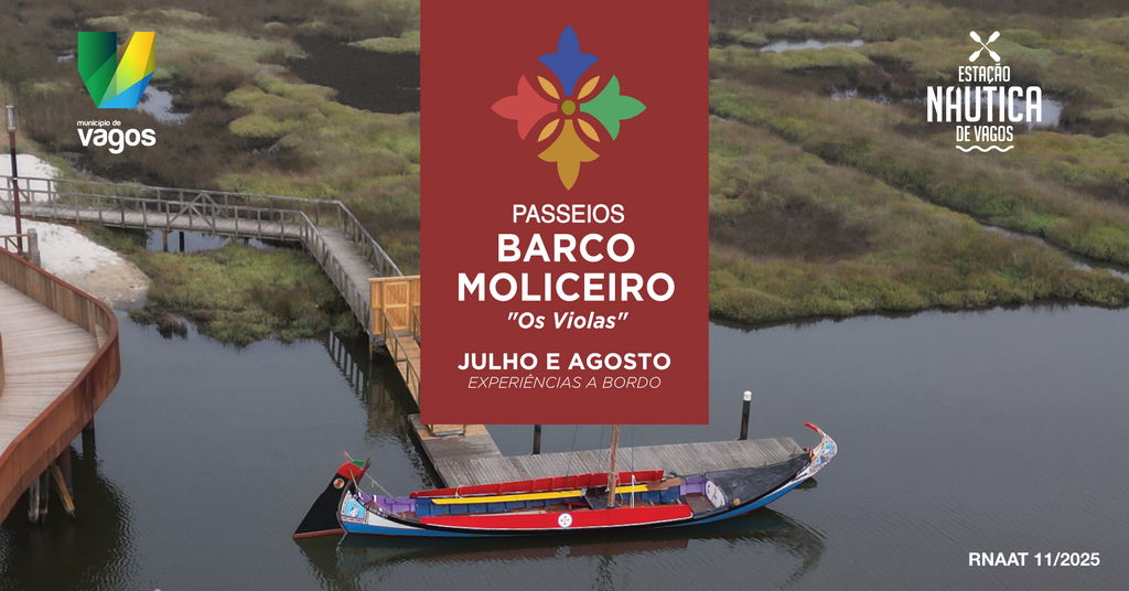 PASSEIOS DE MOLICEIRO COM  EXPERIÊNCIAS A BORDO 
