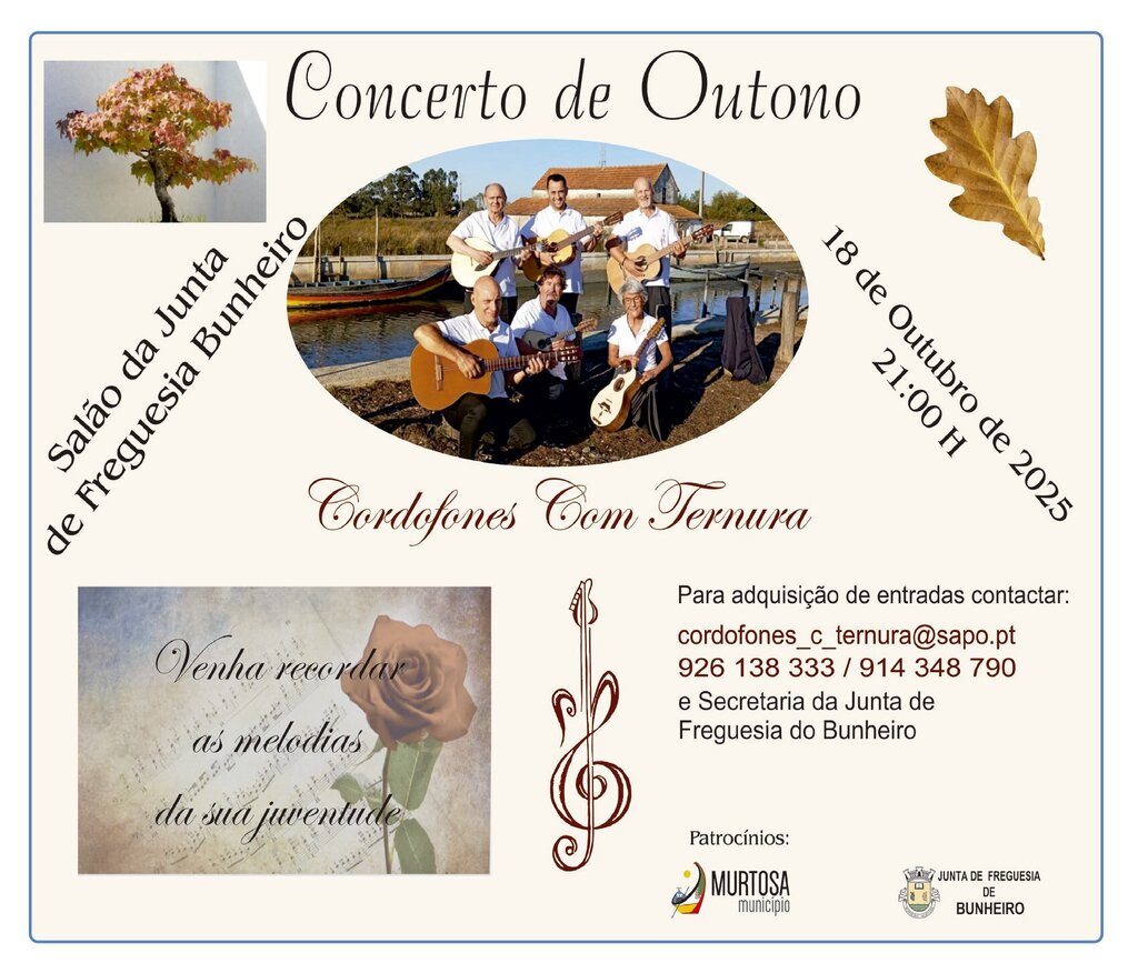 Concerto de Outono - Cordofones com Ternura