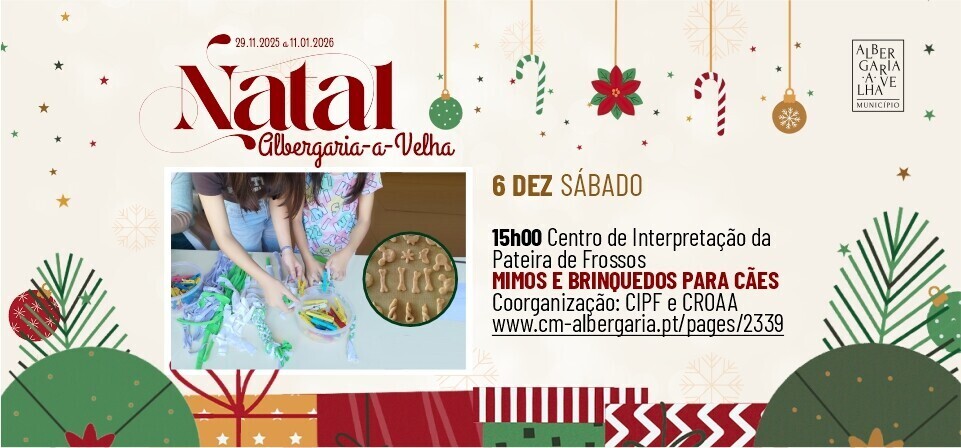 MIMOS E BRINQUEDOS PARA CÃES