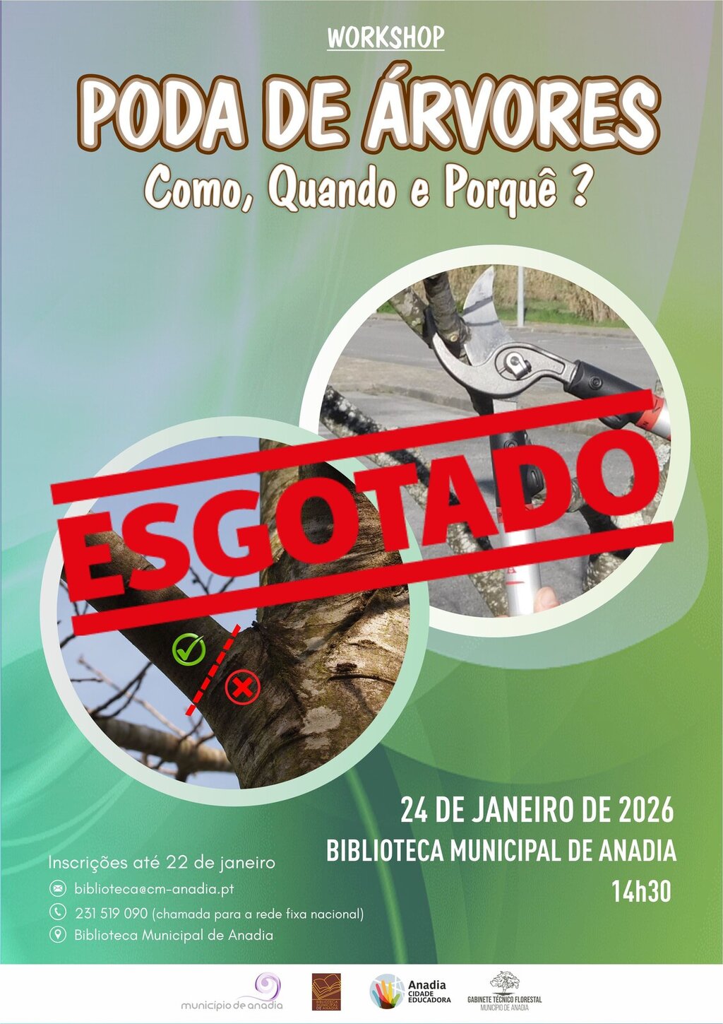 Poda de Árvores - Como, Quando e Porquê? - Workshop