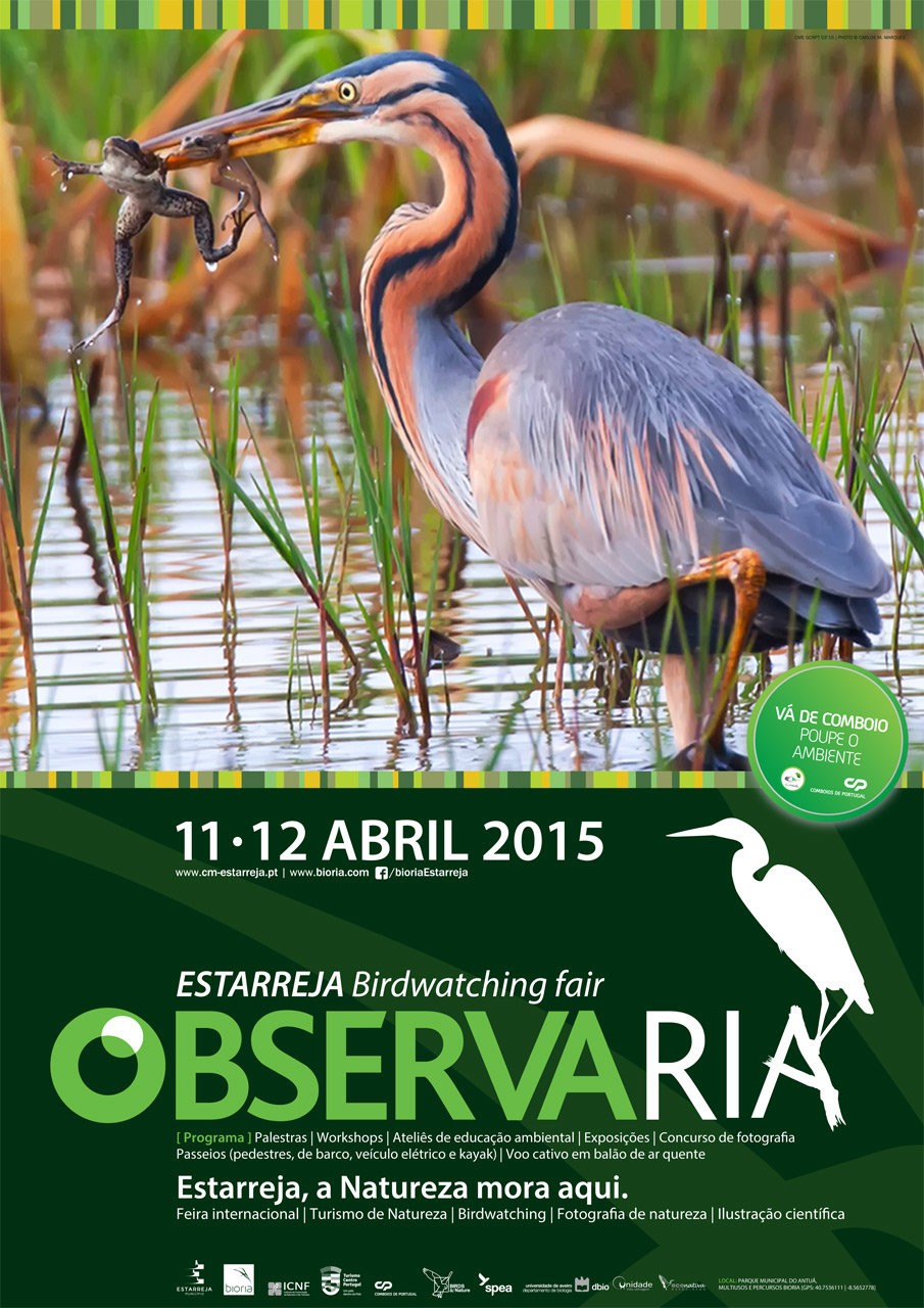 2ª ObservaRia – Estarreja 2015