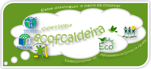 Votação do concurso internacional "Generation next " eco escolas 2015