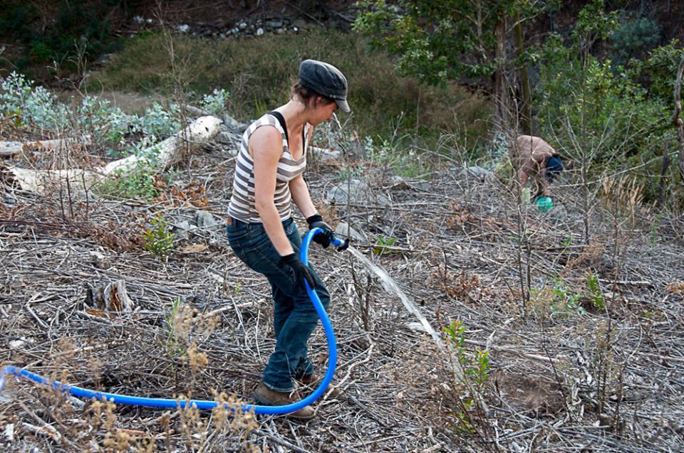Quercus promove jornada de voluntariado de celebração dos 10 anos do Projeto Cabeço Santo