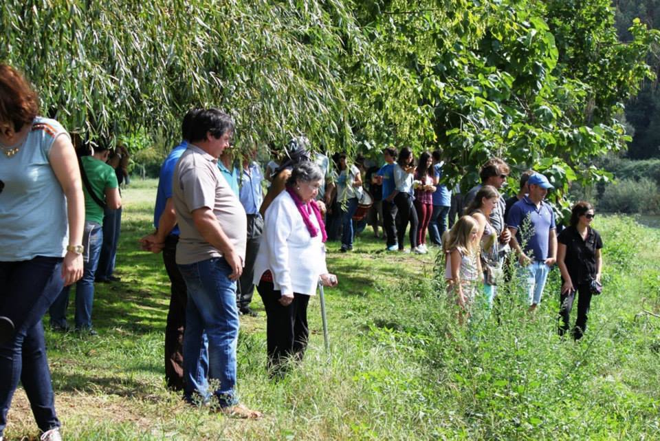 Sernada a Todo o Vapor