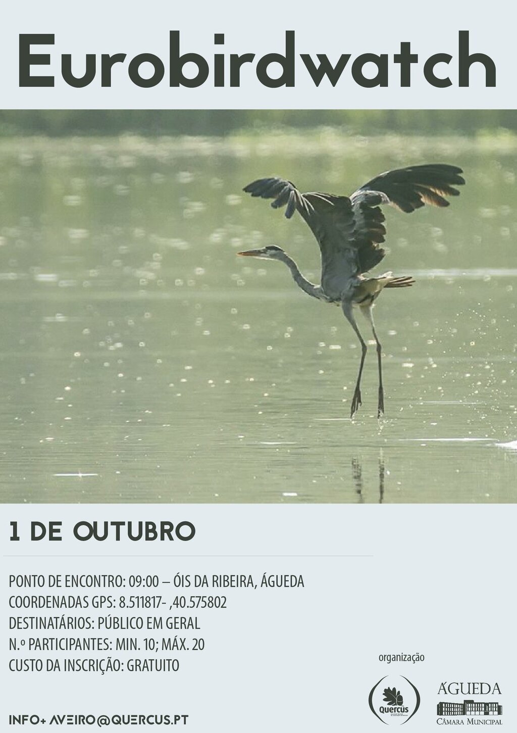 Eurobirdwatch na Pateira de Fermentelos