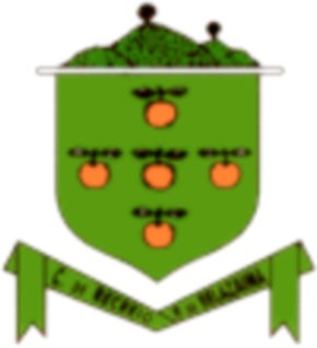 Centro de Recreio Popular de Belazaima "50 Anos de Teatro"