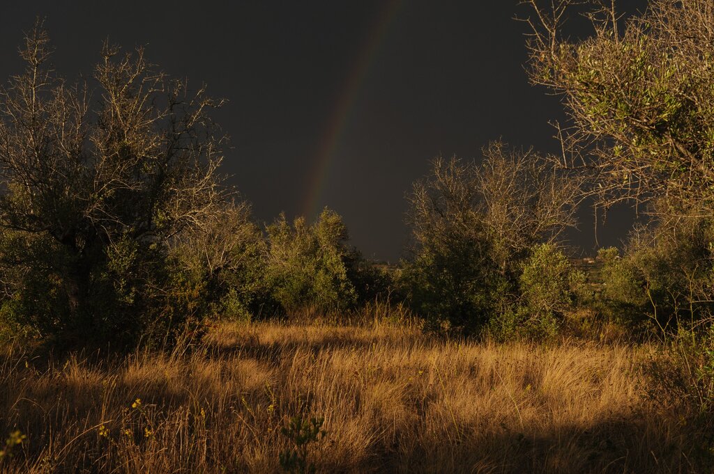 Masterclass de Fotografia | 06, 07, 13, 14, 20, 21, 27 e 28 Maio