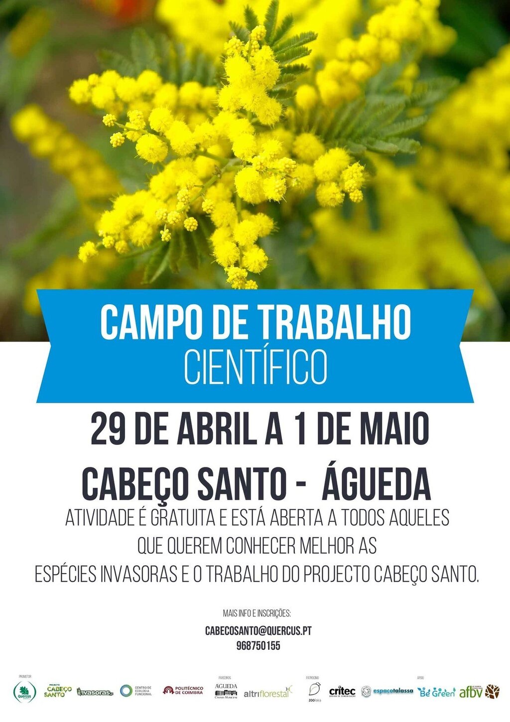 Campo de Trabalho Científico no Projeto Cabeço Santo :: 29 de abril a 1 de maio
