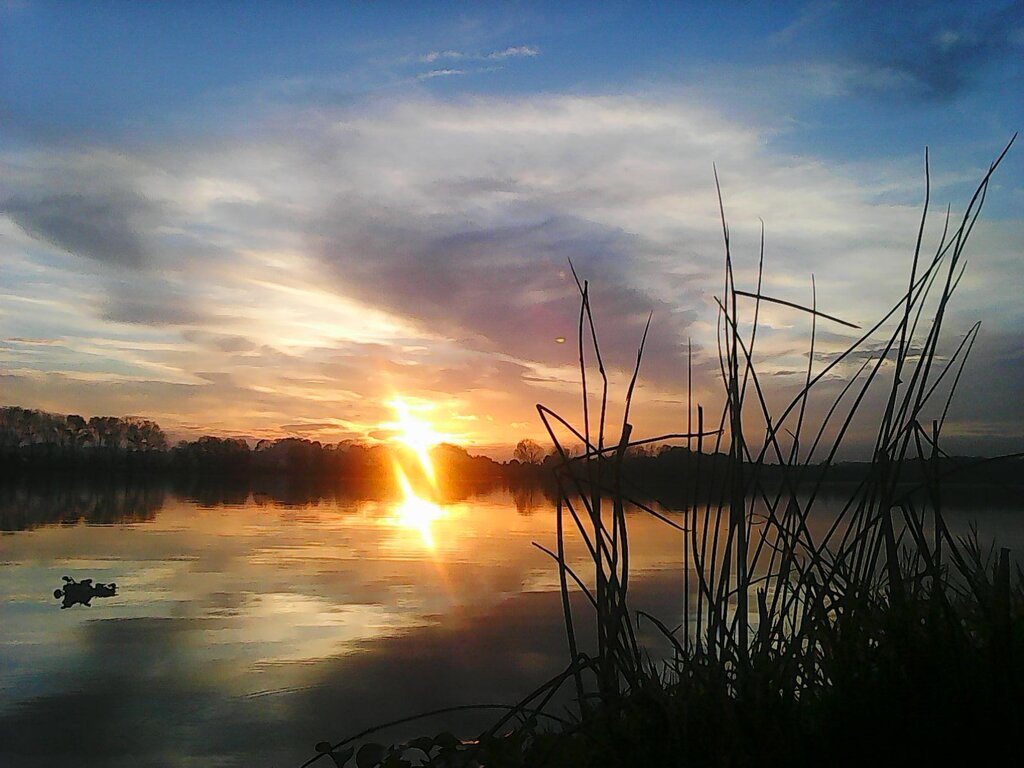 Exposição de fotografias de João Anjos