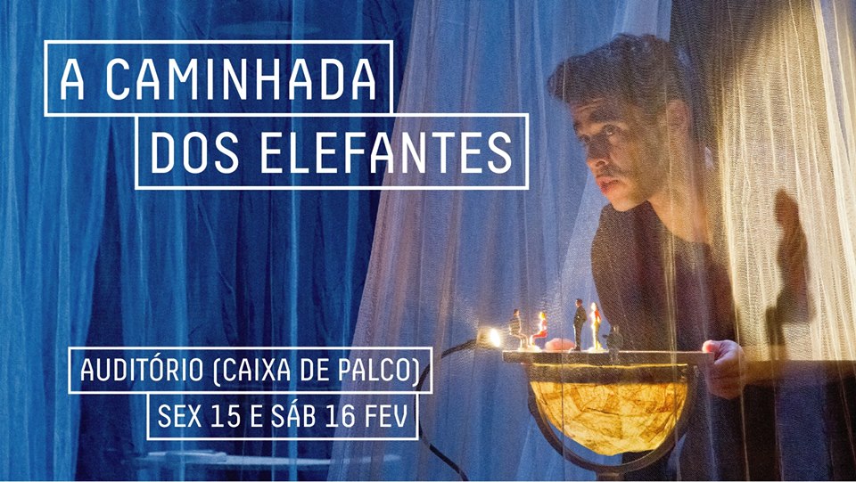 A Caminhada dos Elefantes, no Centro de Artes de Águeda