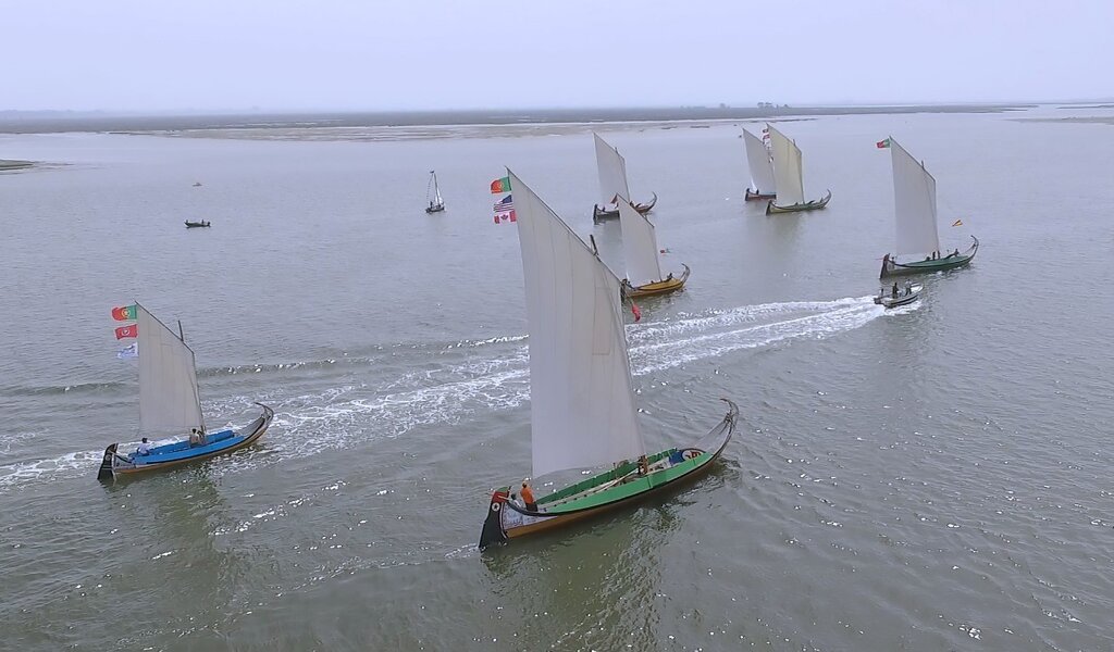 Regata de Barcos Moliceiros - Semana do Emigrante