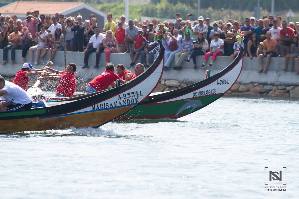  Corrida de Chinchorros - Romaria de São Paio