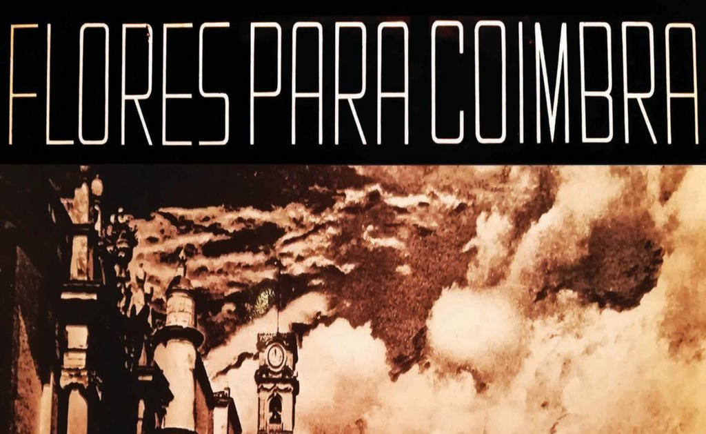 Flores para Coimbra, no Centro de Artes de Águeda