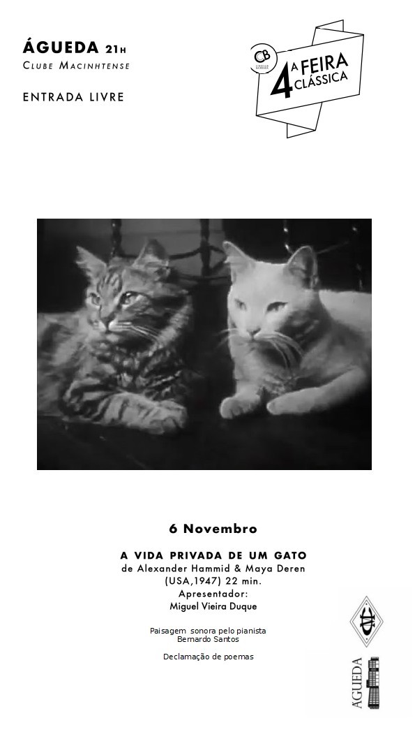Quartas Clássicas do CineClub Bairrada - "A Vida Privada de um Gato"