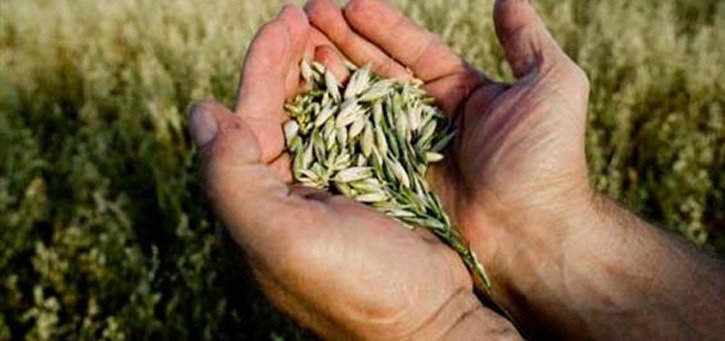 Agricultura, Semente de Sustentabilidade :: Sessão de Informação para Desempregados