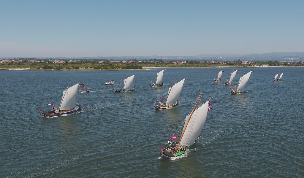 Regata de Barcos Moliceiros - Festa do Emigrante da Murtosa