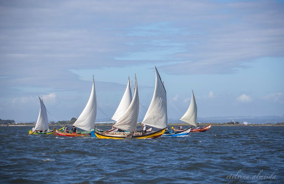 Corrida de Bateiras à Vela - Romaria de São Paio