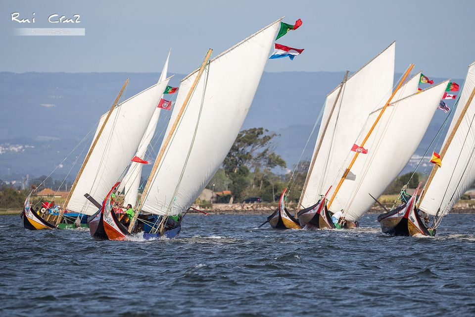  Regata de Barcos Moliceiros - Romaria de São Paio