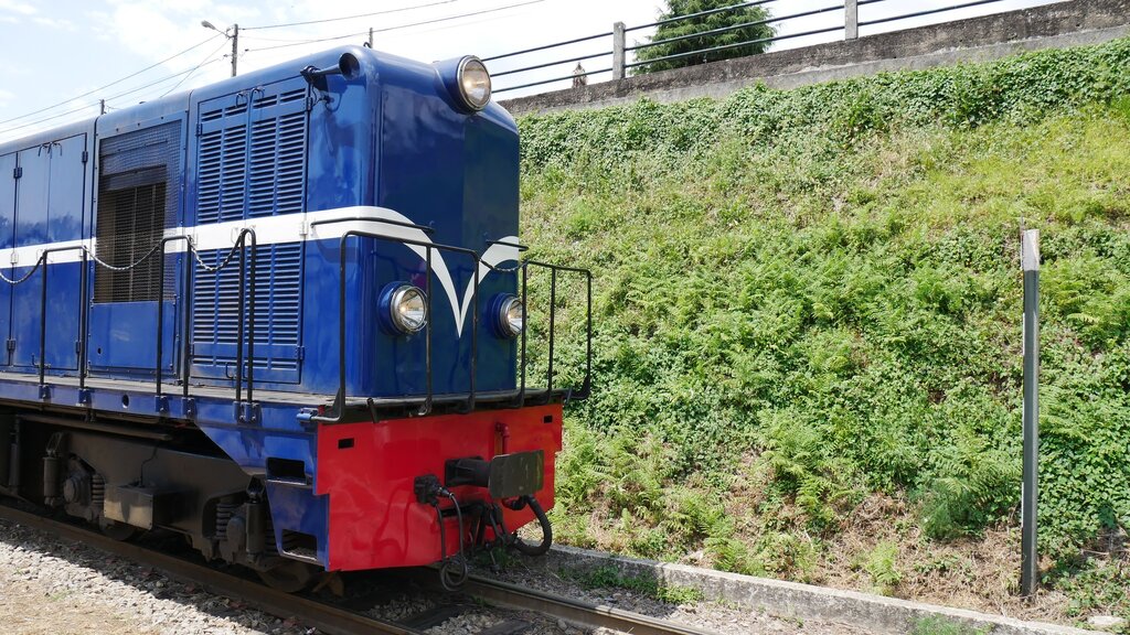 Comboio Histórico do Vouga