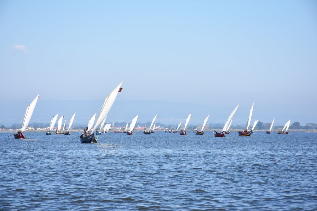Corrida de Bateiras à Vela