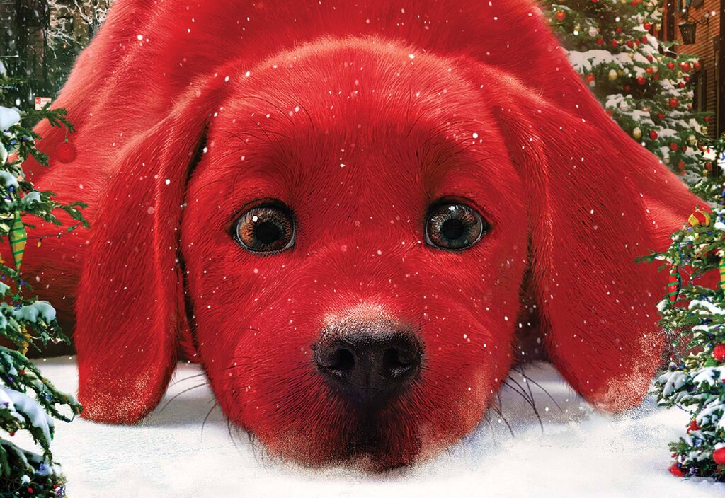 Cinema: Clifford - O cão vermelho