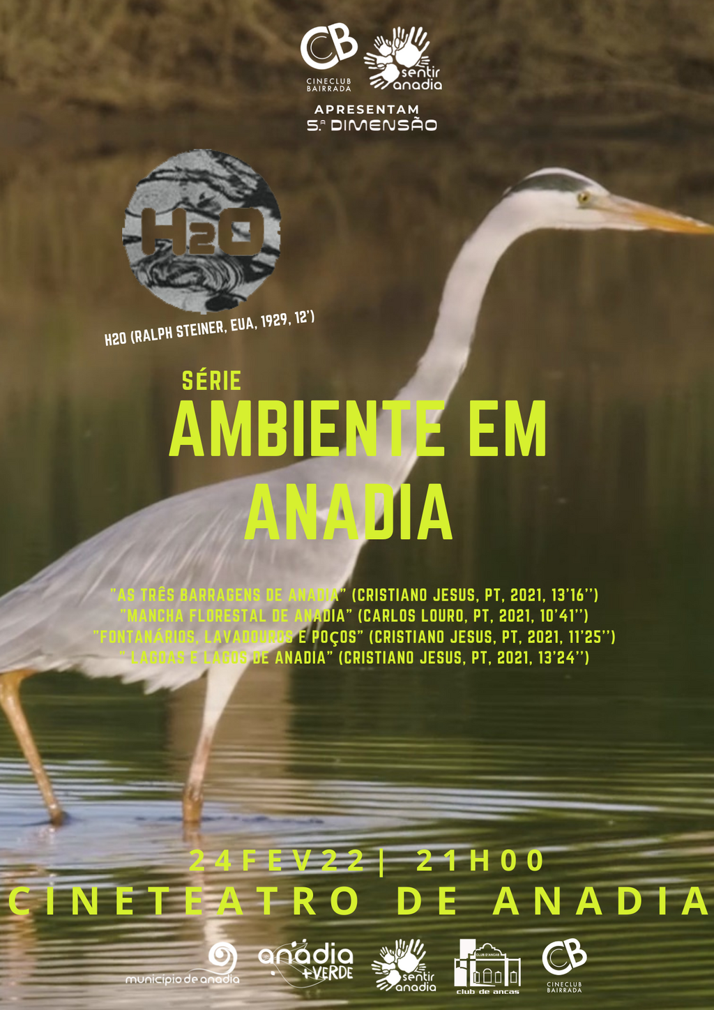 Sessão especial 5ª Dimensão "Ambiente em Anadia"