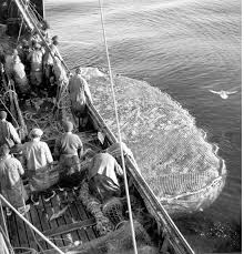 Exposição "As redes de emalhar na pesca do bacalhau: A frota dos navios redeiros"